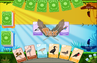 Bird Pax